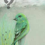 Eu cantei já, e agora vou chorando